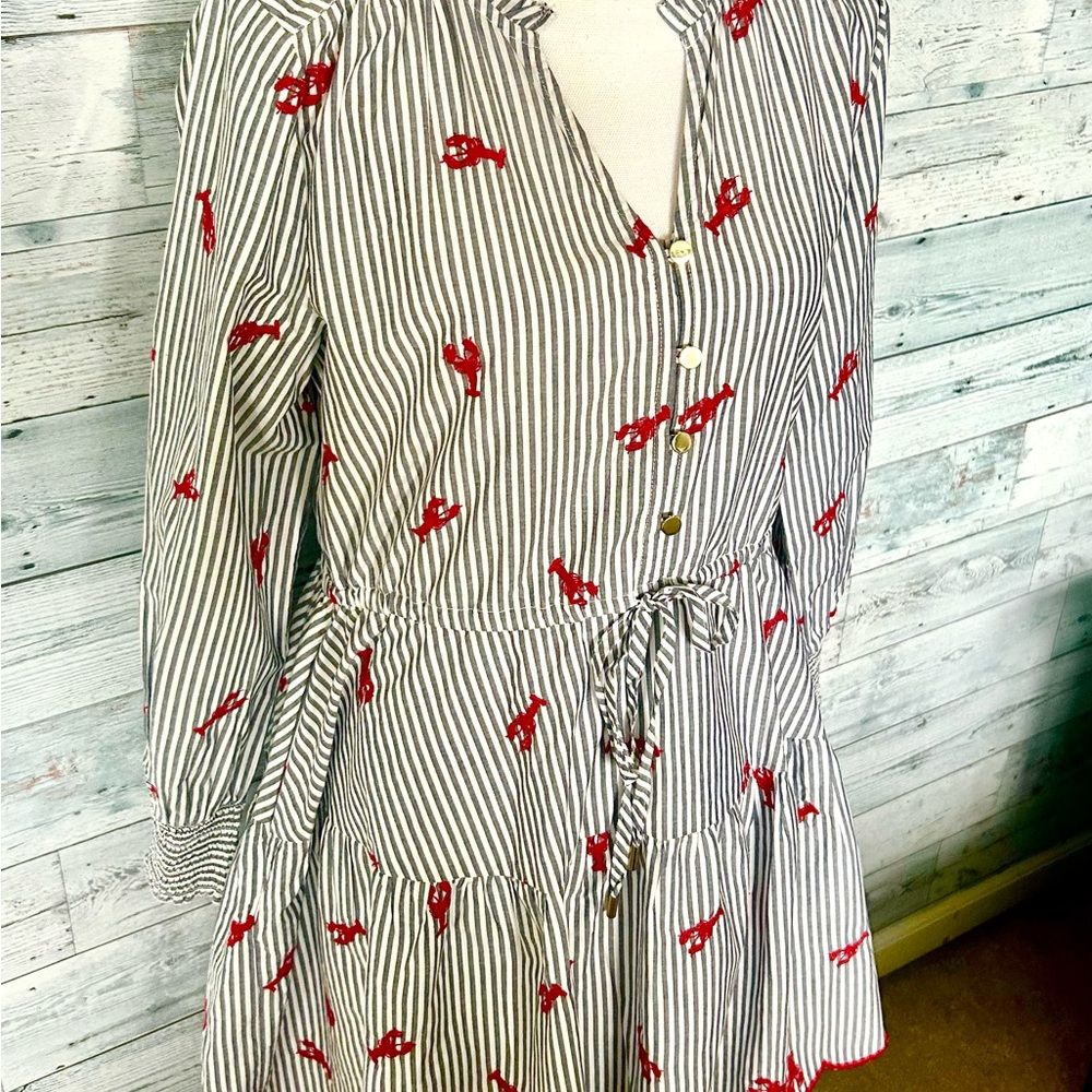 Striped Blue & White Dress with Red Embroidered Detail - Picture 2 of 4